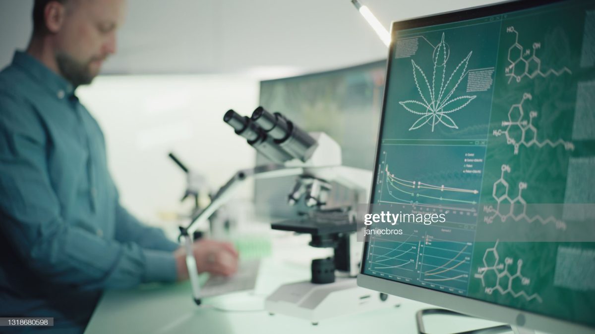 Scientists working in the lab. Testing medical marijuana buds, and preparing medicine. The Colorful World of Cannabis Genetics.