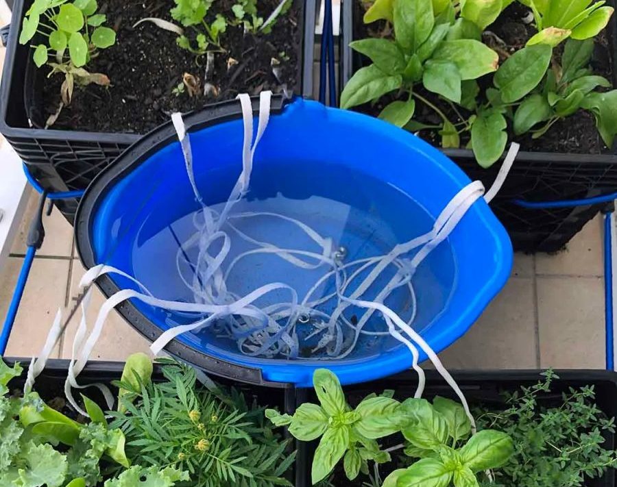 Self made Wick Watering System
