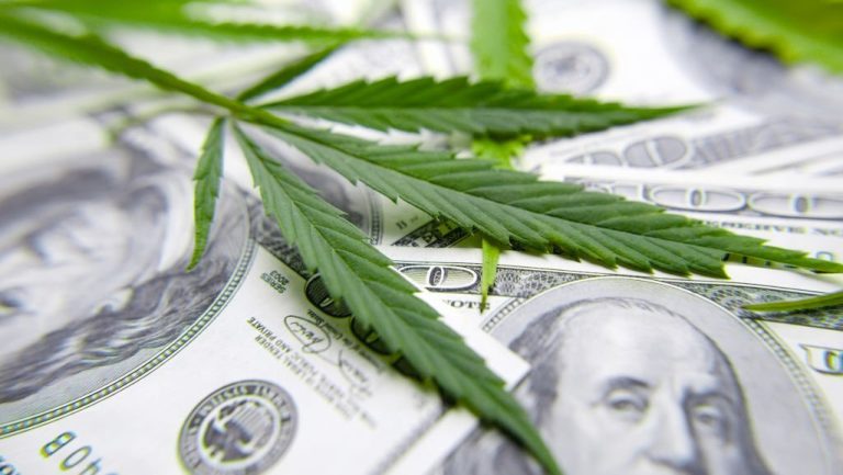 Cannabis leaf on Dollar bill, green leaf of marijuana.